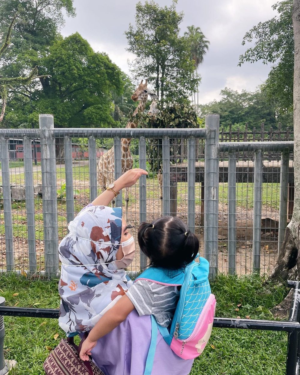 MY BM Zoo Taiping & Night Safari zoo terbaik di Perak Malaysia