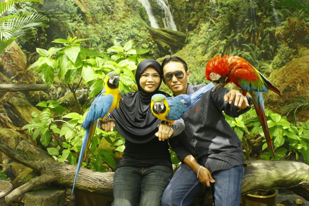 Johor Zoo best zoo in JB Malaysia