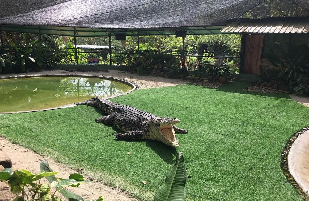 MY BM Crocodile Adventureland Langkawi zoo haiwan terbaik di Malaysia