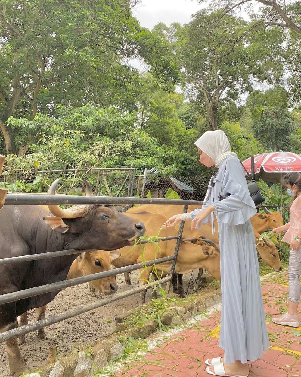 MY BM Zoo Melaka zoo terbaik di Melaka Malaysia