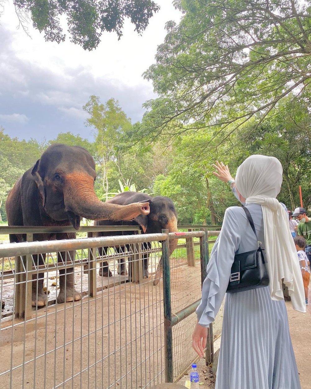 MY BM Zoo Melaka Malacca Zoo di Melaka Malaysia