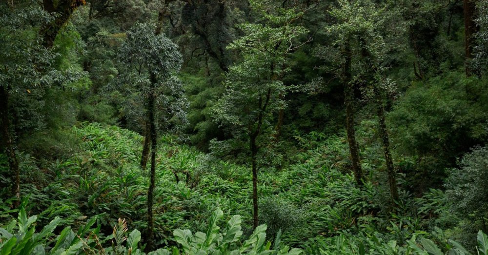 hoang-lien-son-o-dau