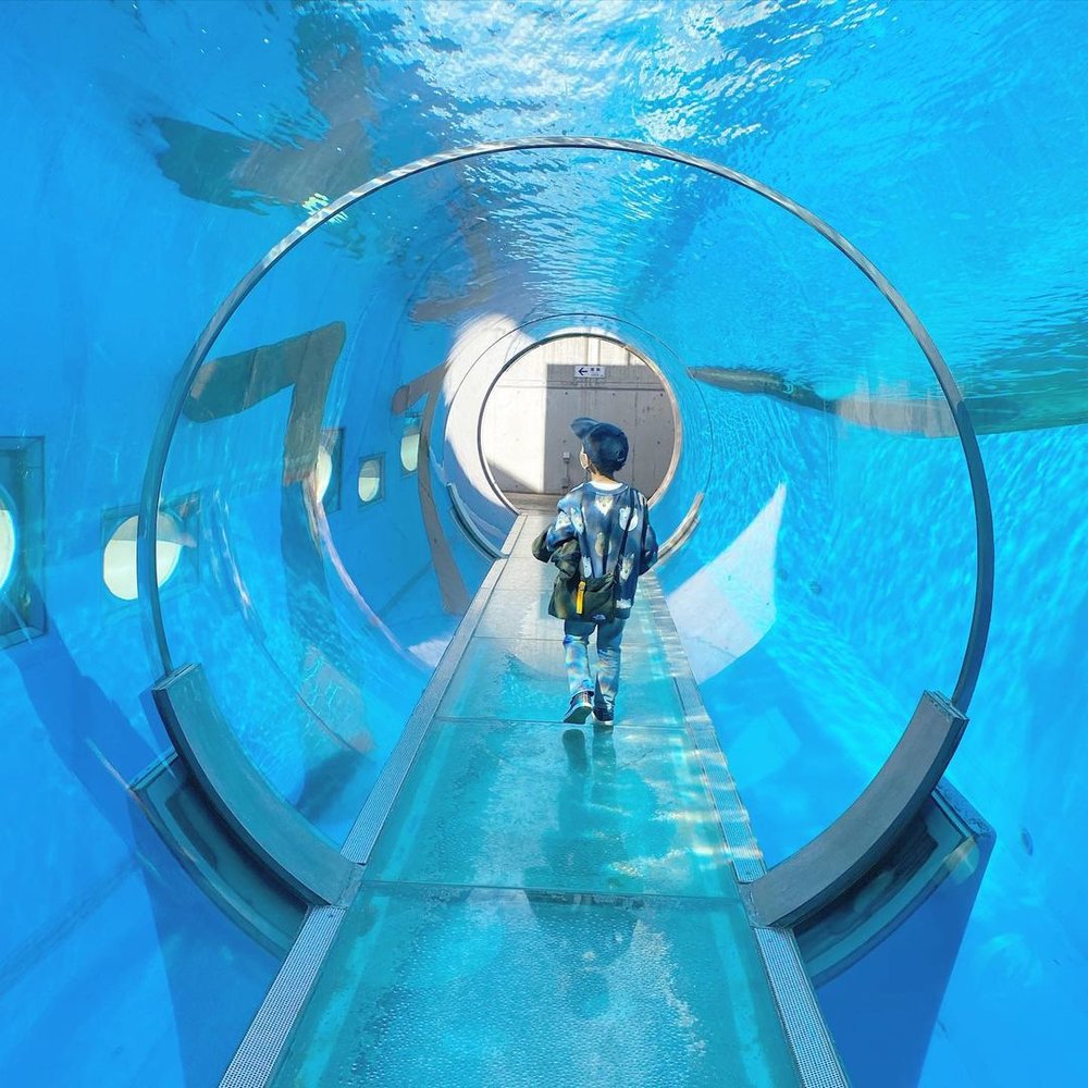 7891 UGC: @hinakko.19 (Instagram) 水族館のトンネルと男の子
