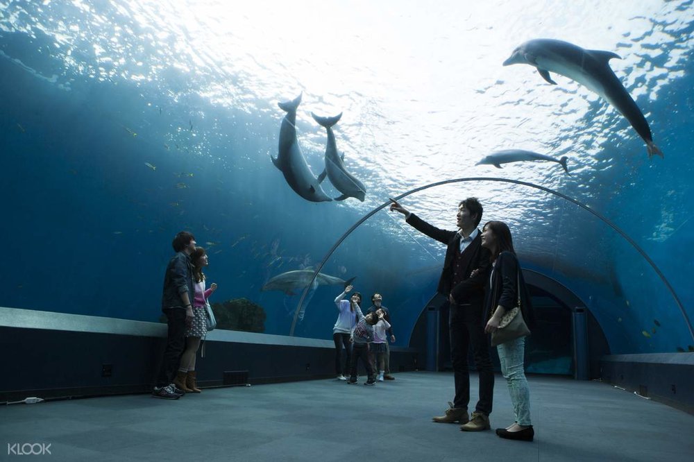 横浜・八景島シーパラダイス