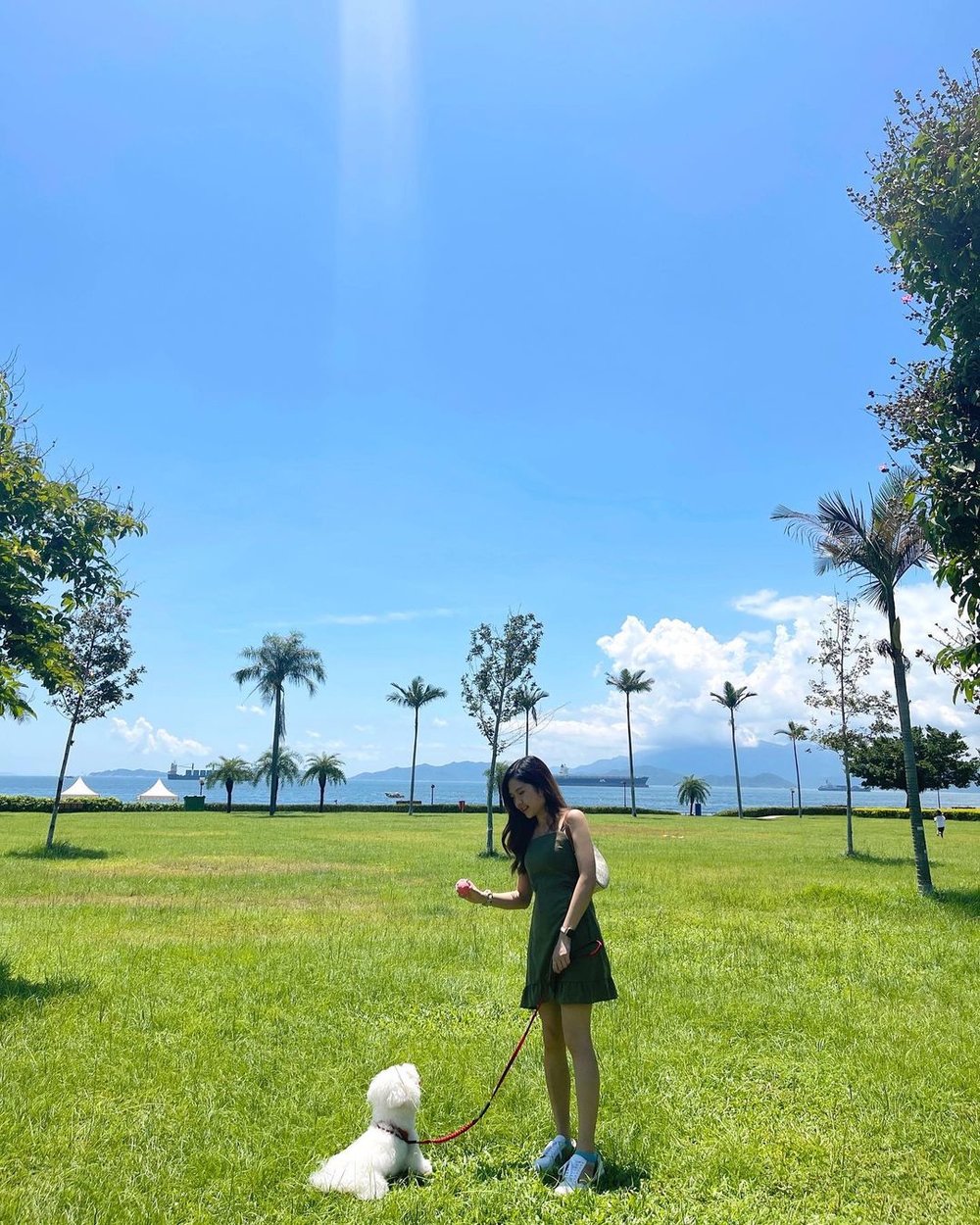 數碼港海濱公園野餐