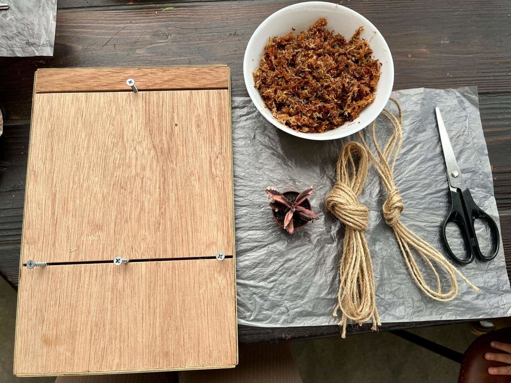 自然圈手作苔球材料