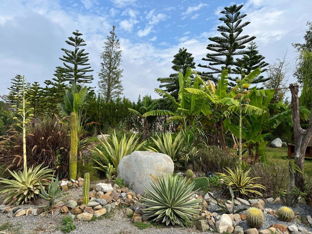 自然圈農場沙漠植物