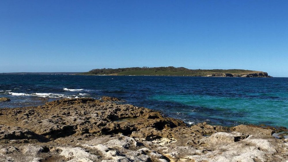 Get front-row seats to this incredible view when you visit the Governor Head Lookout. image credits: @jenny62wren on Instagram