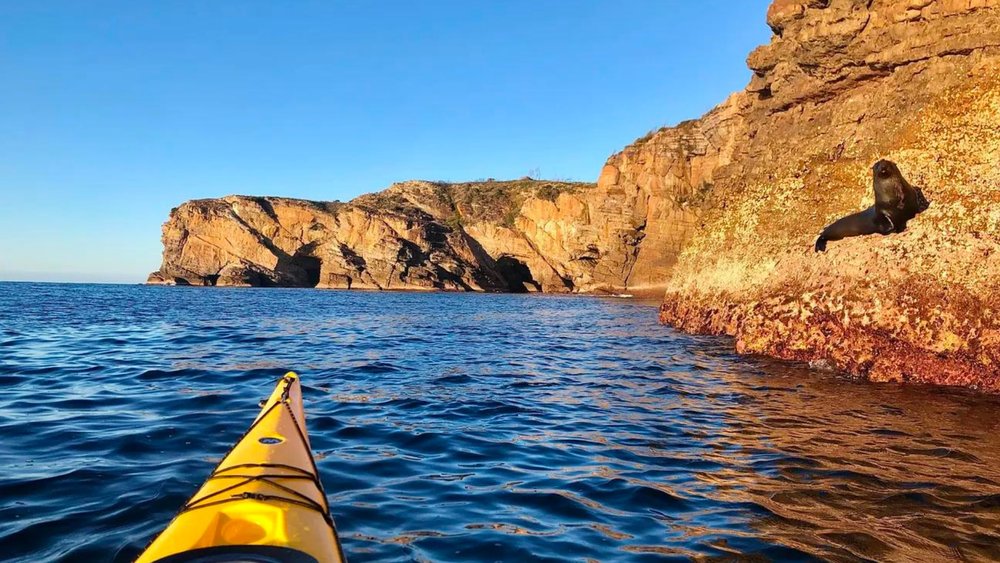 Don’t forget to greet the fur seals you meet along your route.