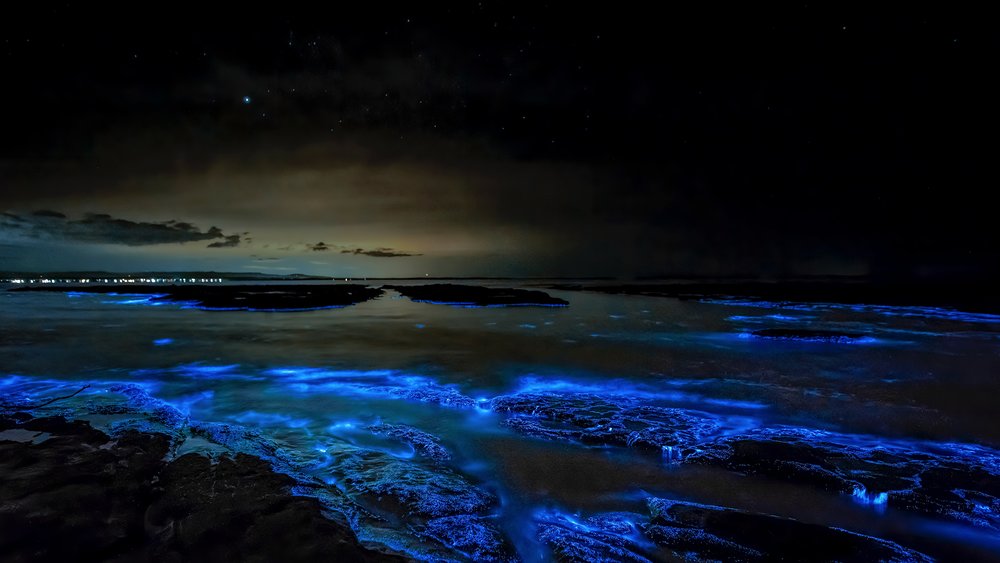 e bioluminescence at work when you visit Jervis Bay . Image credit: Trevor McKinnon on Unsplash