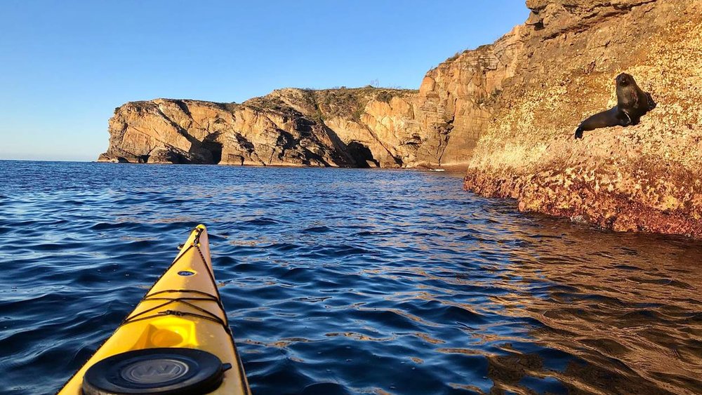 Explore Jervis Bay by water at your own pace