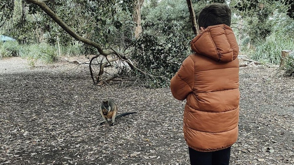 Meet some furry friends while camping! Image credits: @wandering_wildfolk on Instagram