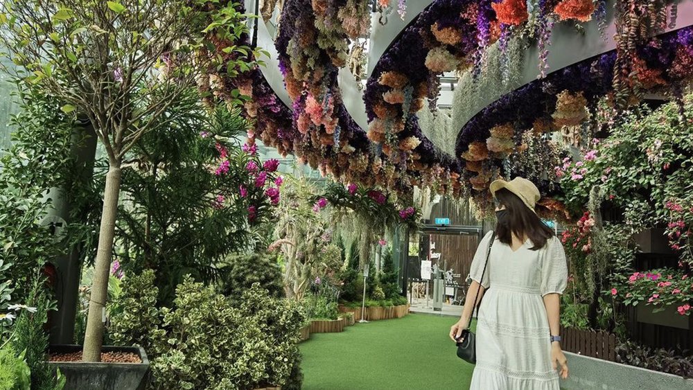 See colourful flowers from all over the world Credit: @elaine.skibunny