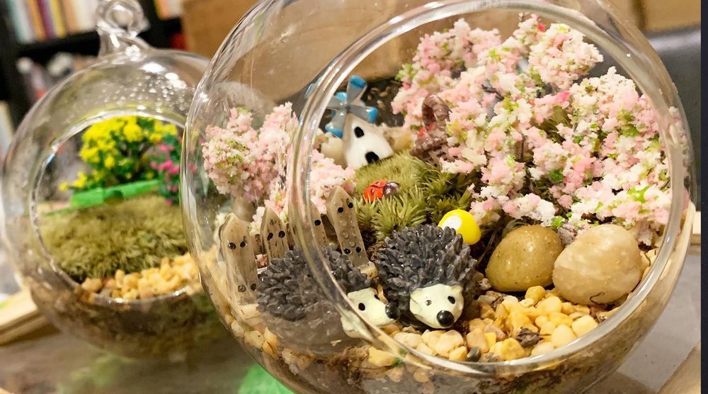 DIY玻璃盆栽送給你的好友