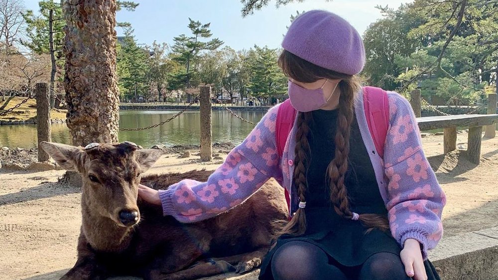 Befriend adorable deers at Nara Park Credit: @akatemason