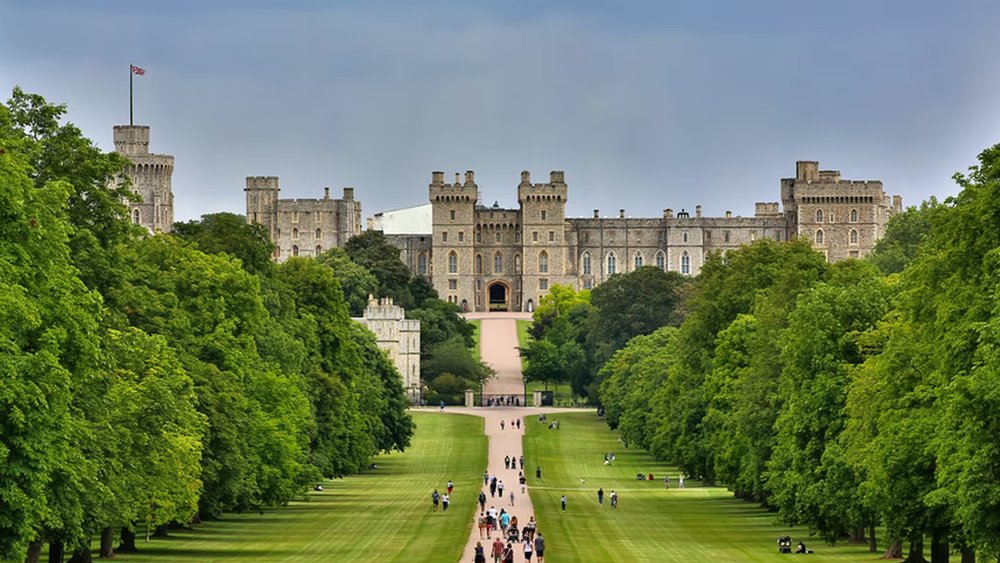 Get a fantastic view of Windsor Castle surrounded by lavish trees and grass - Credit: Simon Hurry on Unsplash