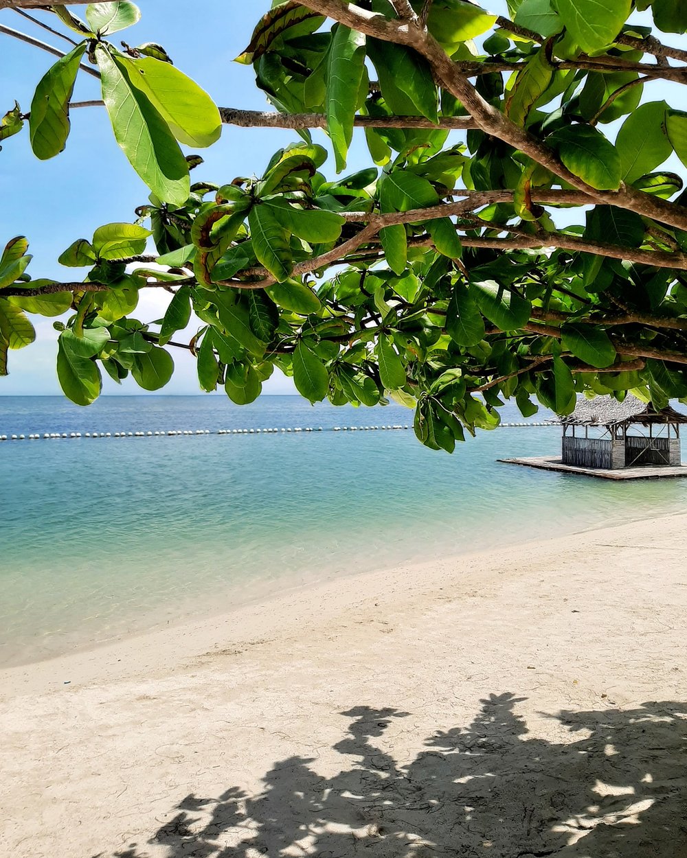 beach with floating nipa hut and tree