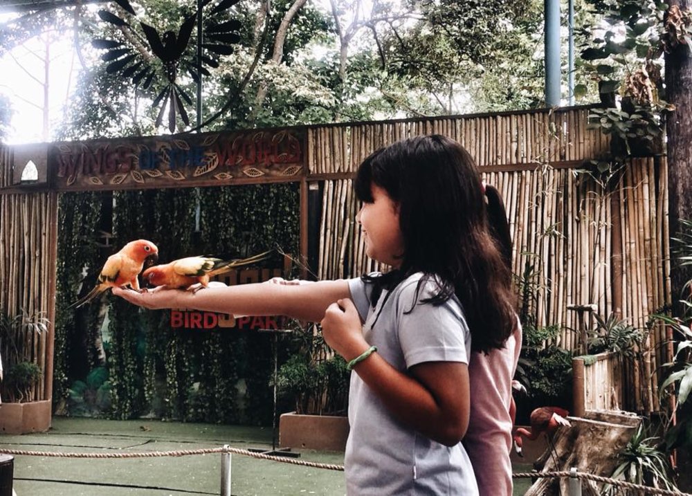 two kids feeding birds with arms outstretched