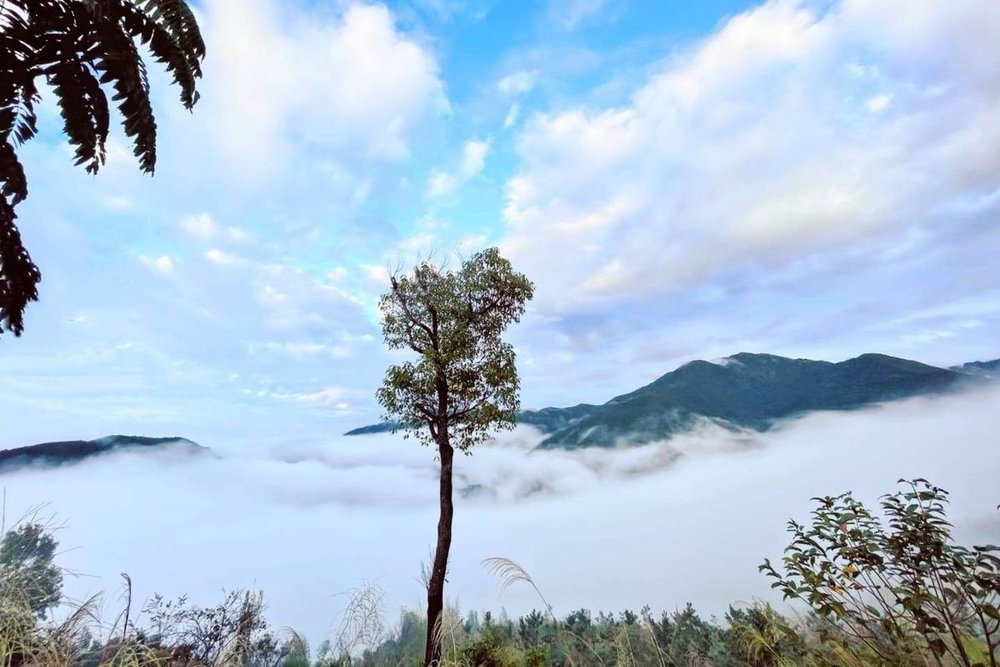 愛上喜翁環境介紹