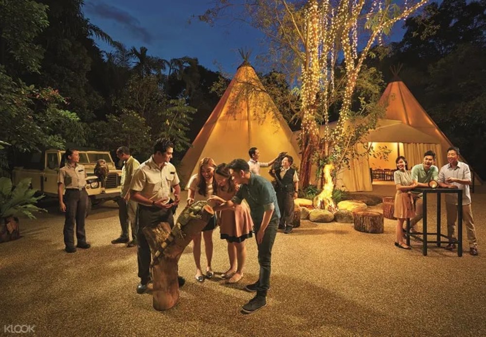 Night Safari - Evening in the Wild: Christmas Jamboree