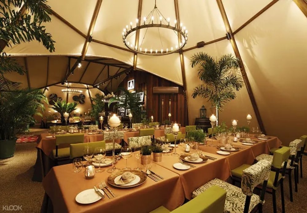 Night Safari - Evening in the Wild: Christmas Jamboree