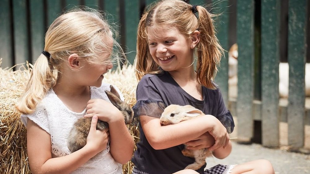 See kids bond with the most adorable animals. Credit: @oakvalewildlifepark