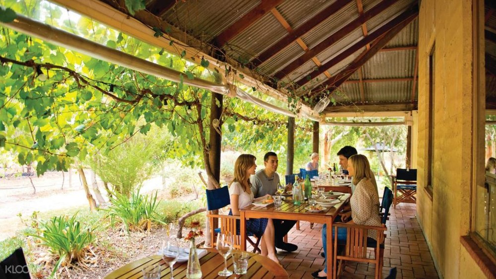 Go hopping from one winery to another in McLaren Vale!