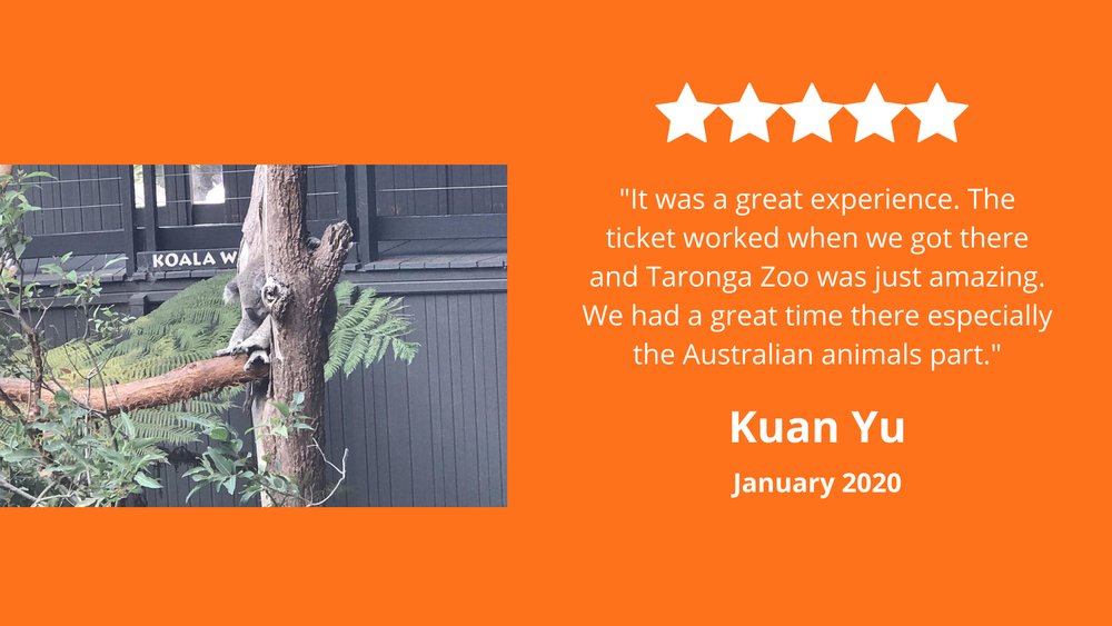 Klook Taronga Zoo review