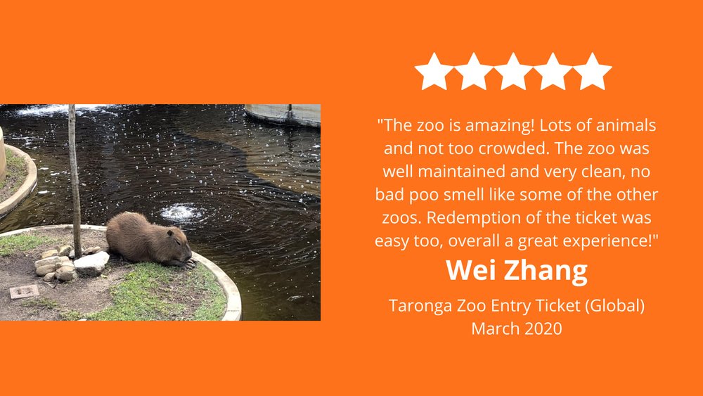 Klook Taronga Zoo Review