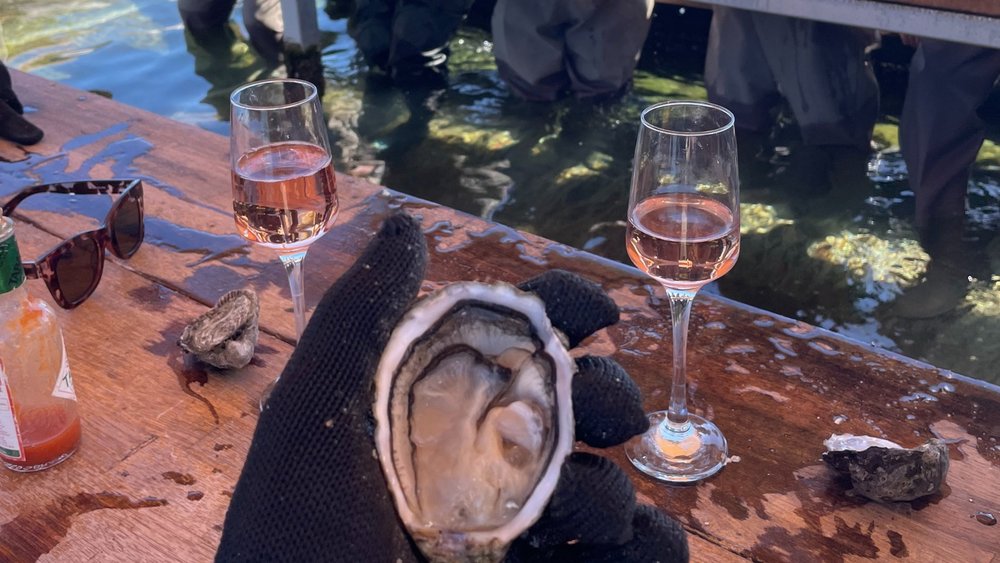 Meet Klook ANZ Business Dev Manager - Ashleigh Mcewen