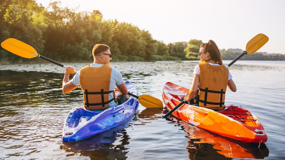 For lovers of avian life, St. Georges Basin is the way to go! Image credits: @senivpetro on Unsplash