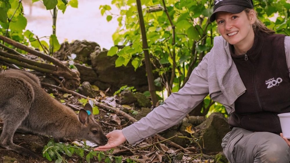 10 Auckland Attractions You Can’t Miss on Your First Visit Klook