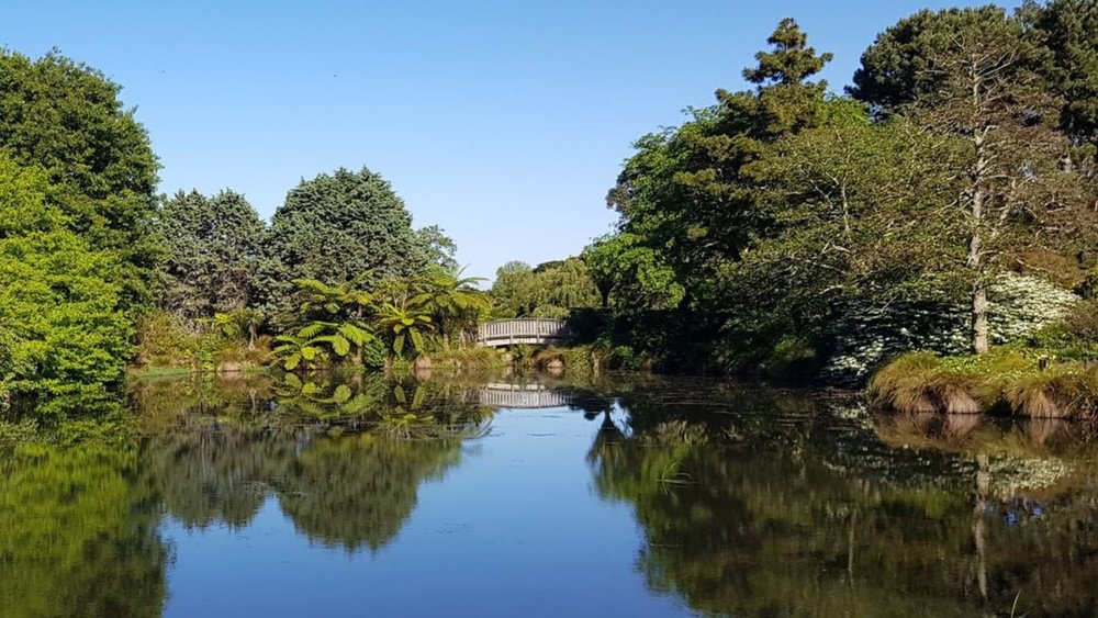 Experience serenity at Auckland Botanic Gardens. Image credits: @aucklandbotanicgarden on Instagram