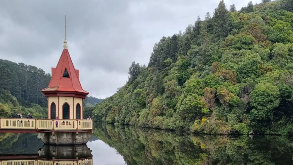 Listen to different bird calls in ZEALANDIA. Image credits: @visit_zealandia on Instagram