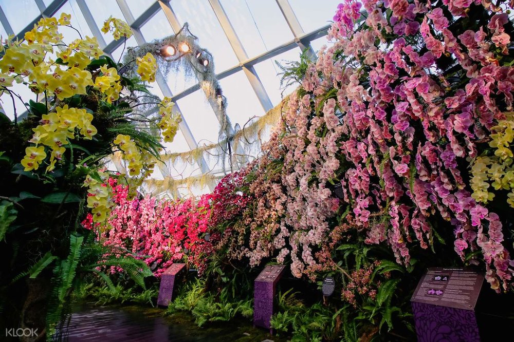 新加坡滨海湾花园