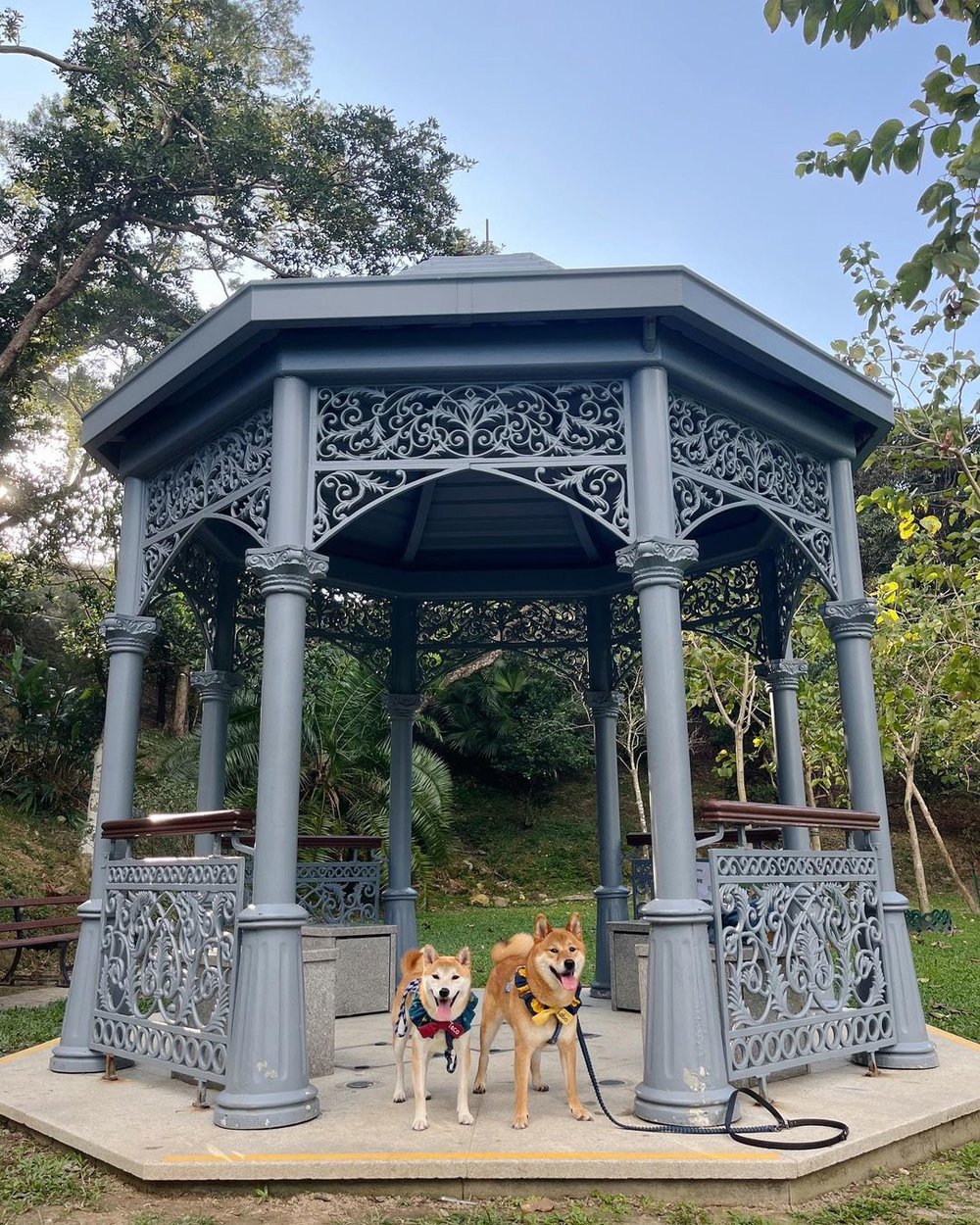 復古藍的涼亭別具歐陸風情。(Instagram @lobo_taco.shiba)