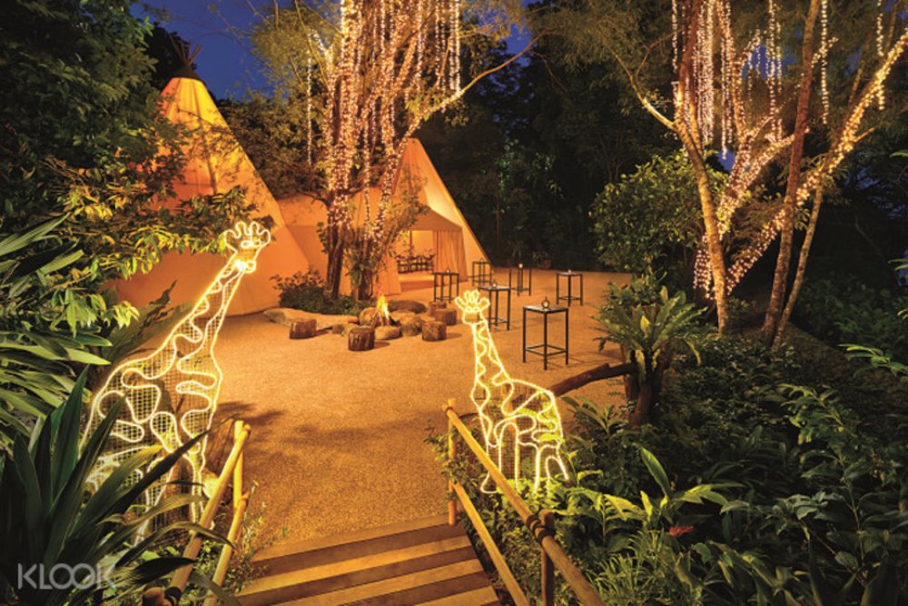 singapore night safari christmas 2021