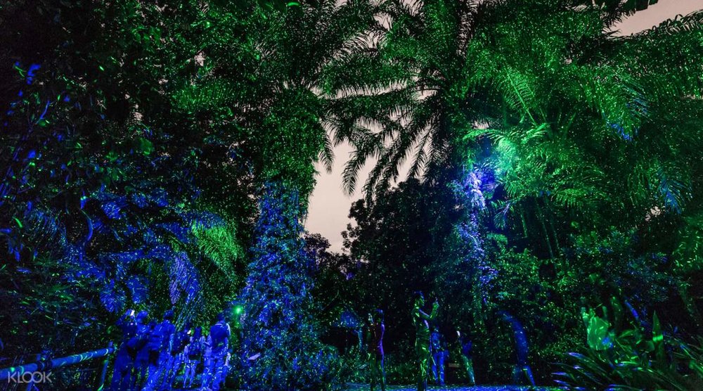 rainforest lumina singapore zoo