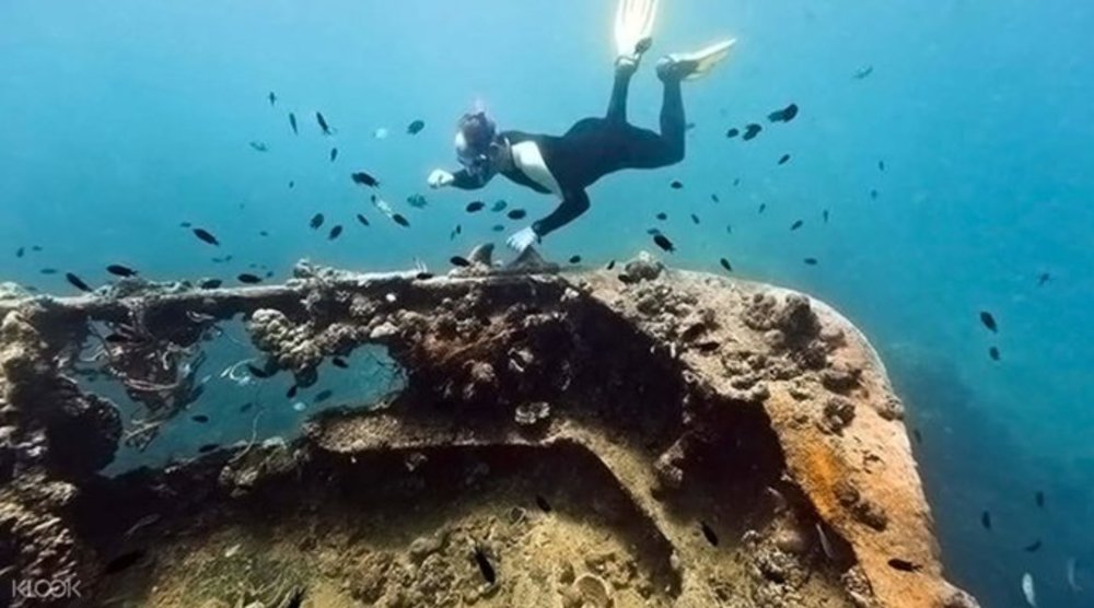 person shipwreck diving
