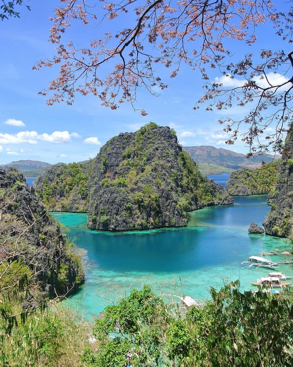limestone cliffs in clear blue lagoon