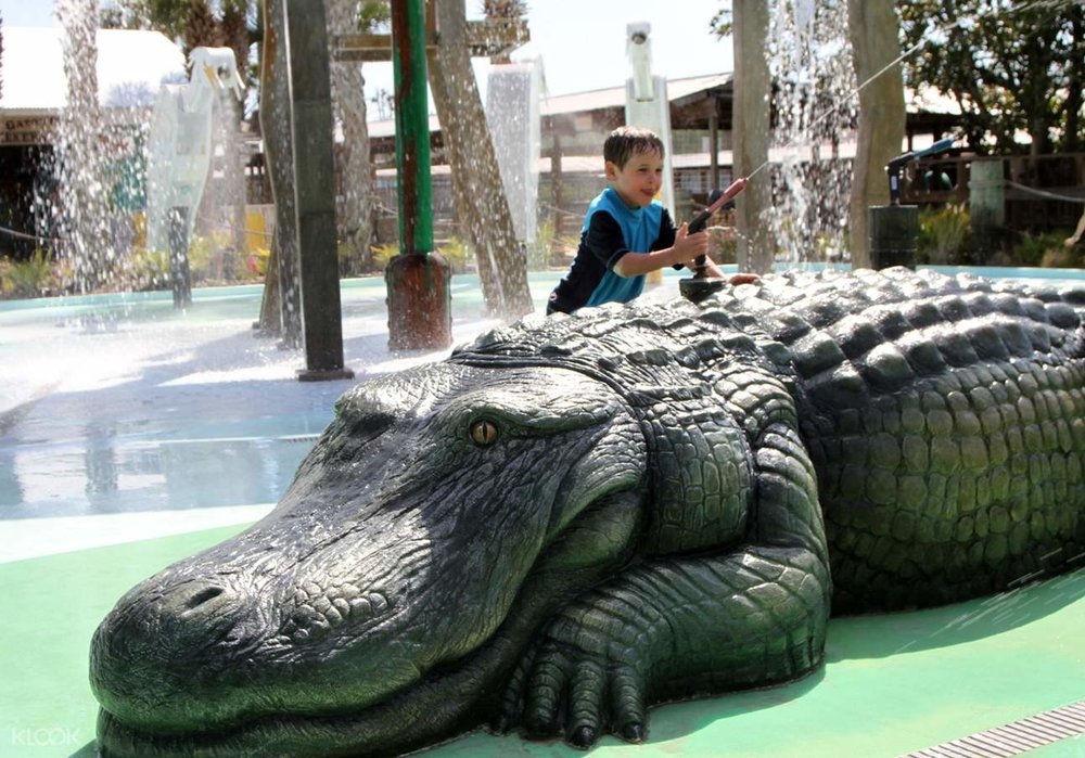 The Gator Gully splash area is a place kids of all ages are sure to enjoy!