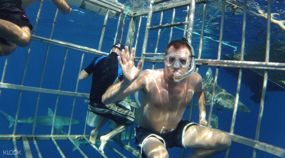 Think you’re brave enough to try?