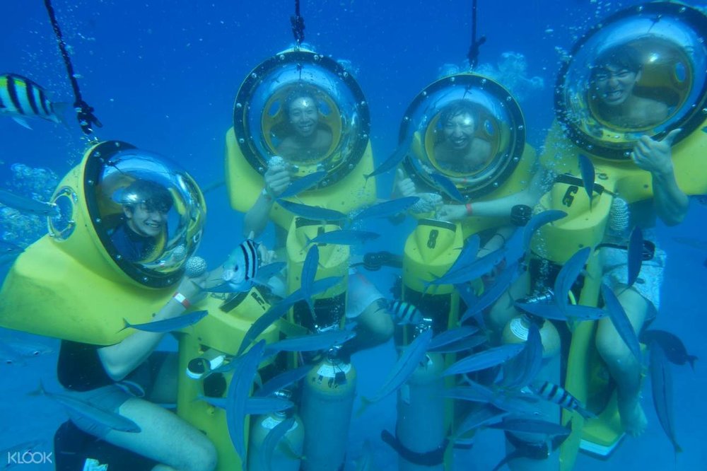 Make friends with schools of fish at Maunalua Bay