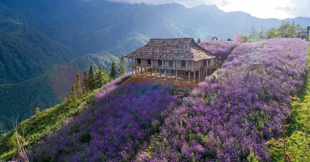 silk-path-grand-sapa-resort-spa