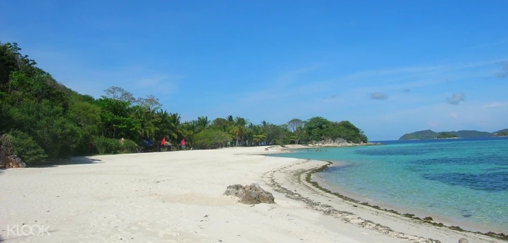 white sand beach with lots of trees