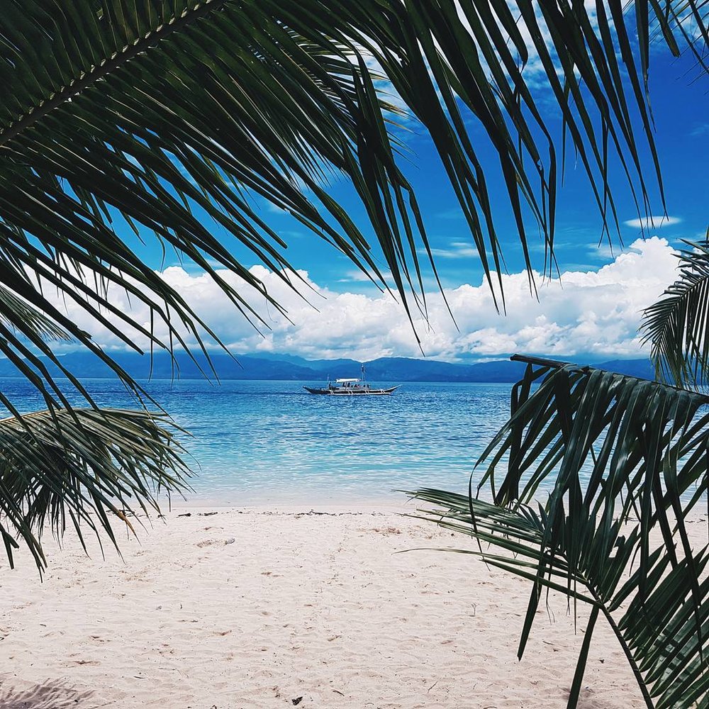 view of sea with boat in the middle of palm leaves