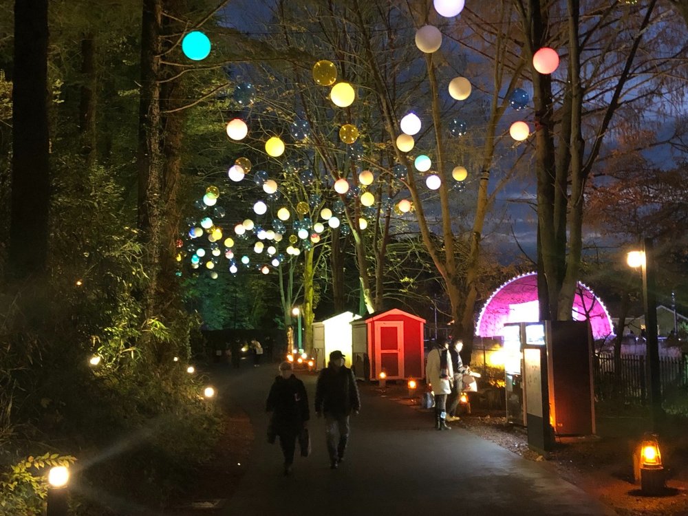 36646　ムーミン　イルミネーション