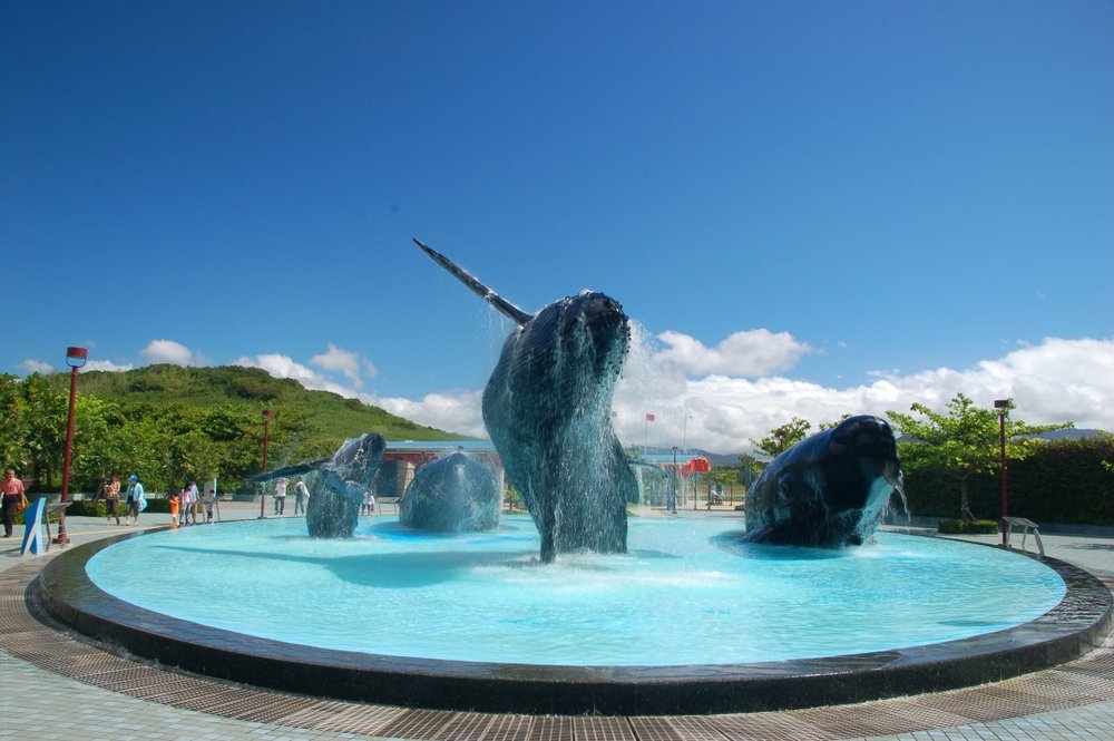 屏東海生館介紹：鯨魚廣場