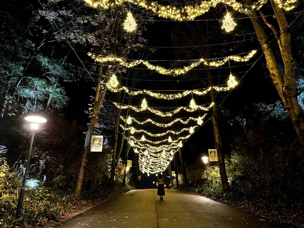 メッツァ 坂道 イルミネーション