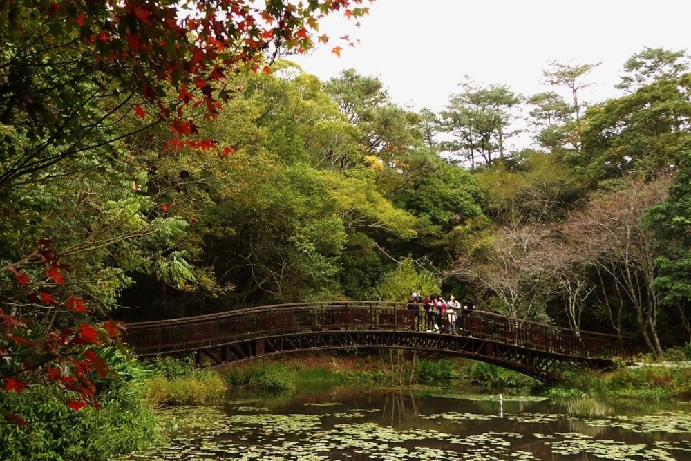 奧萬大一日遊景點